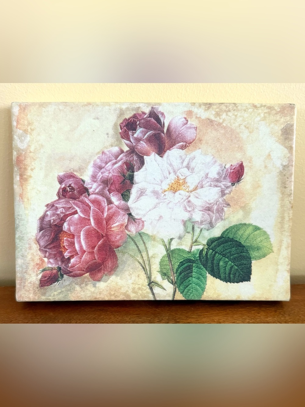 Vintage Look 4x6 Canvas Pierre-Joseph Redoute "Rosa Damascena" Botanical Art